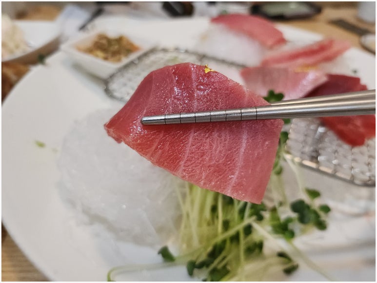 본참치 이미지