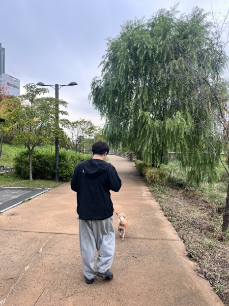 카페애띠 이미지