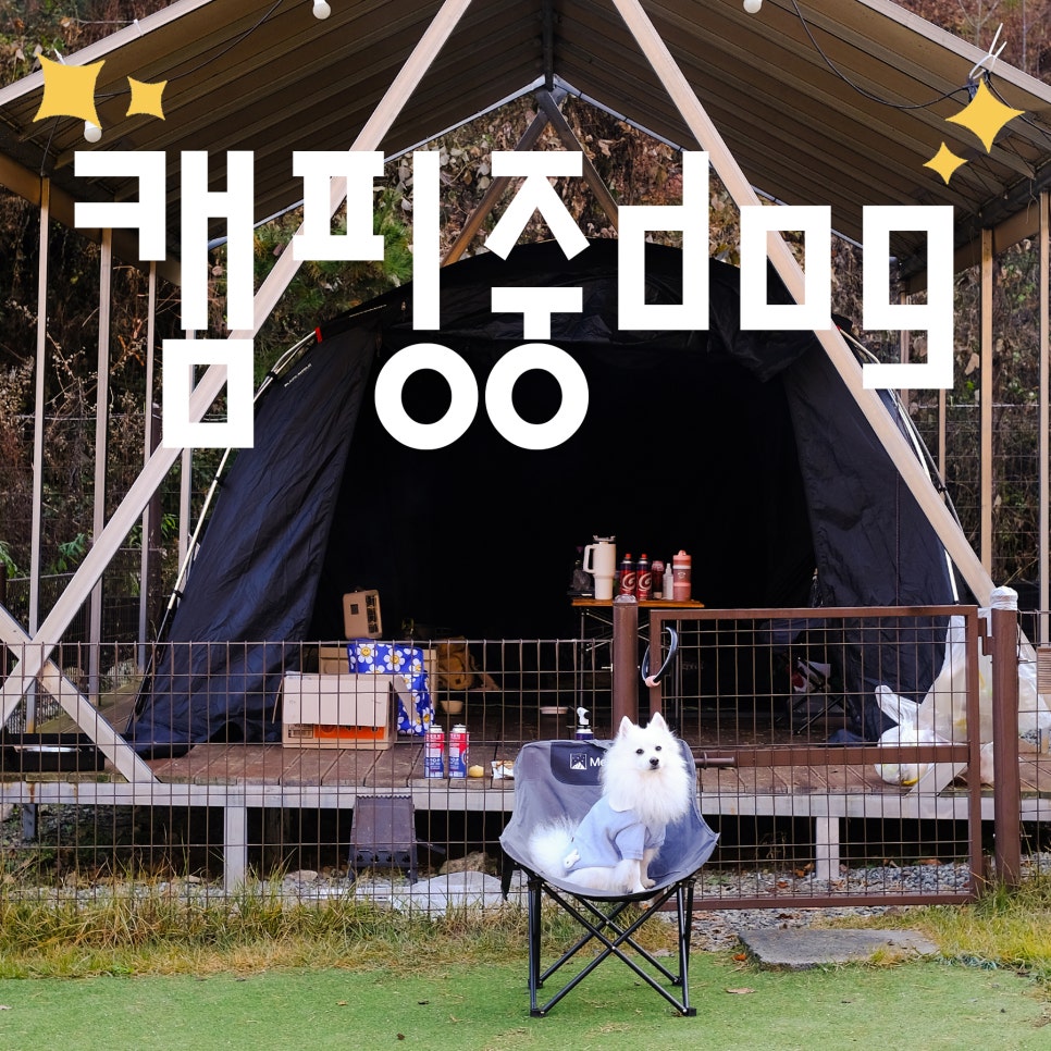 캠핑중DOG 이미지