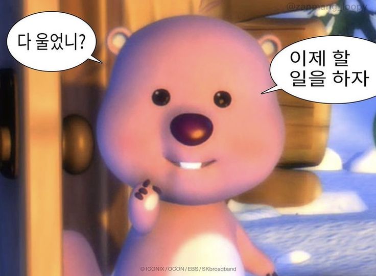 신현대자동차운전전문학원 이미지