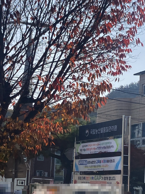 신흥이용원 이미지