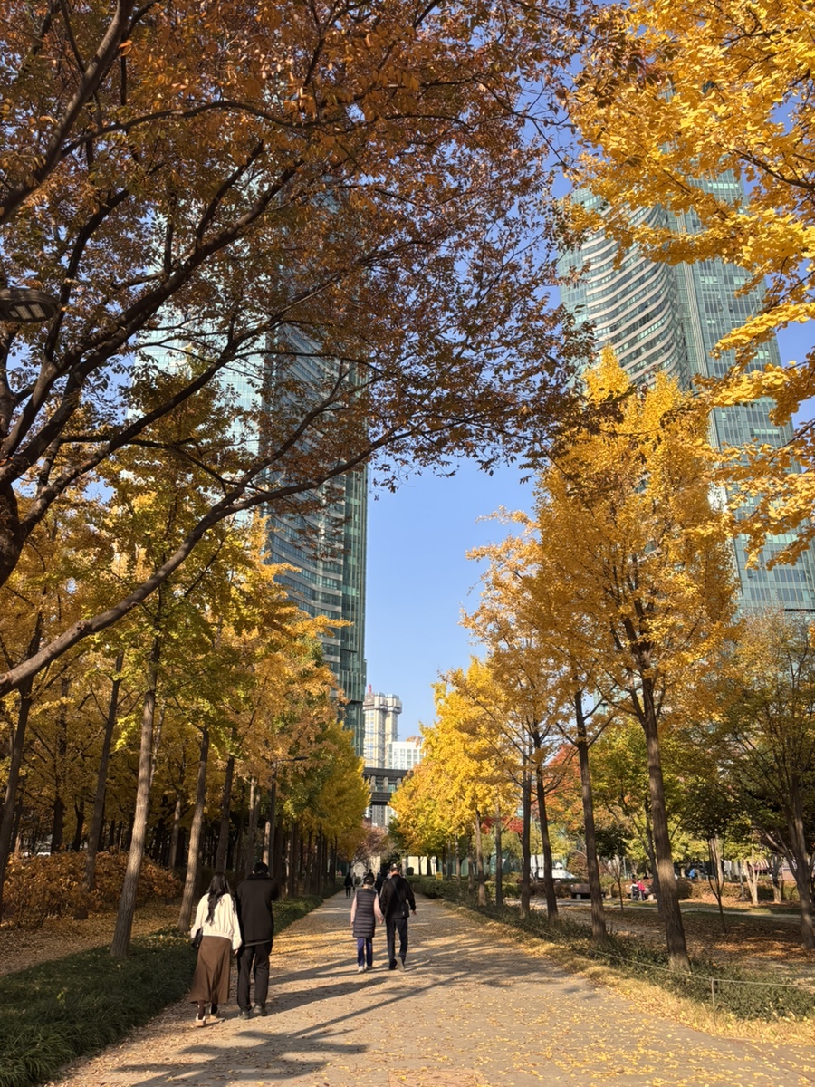 연이숲 이미지