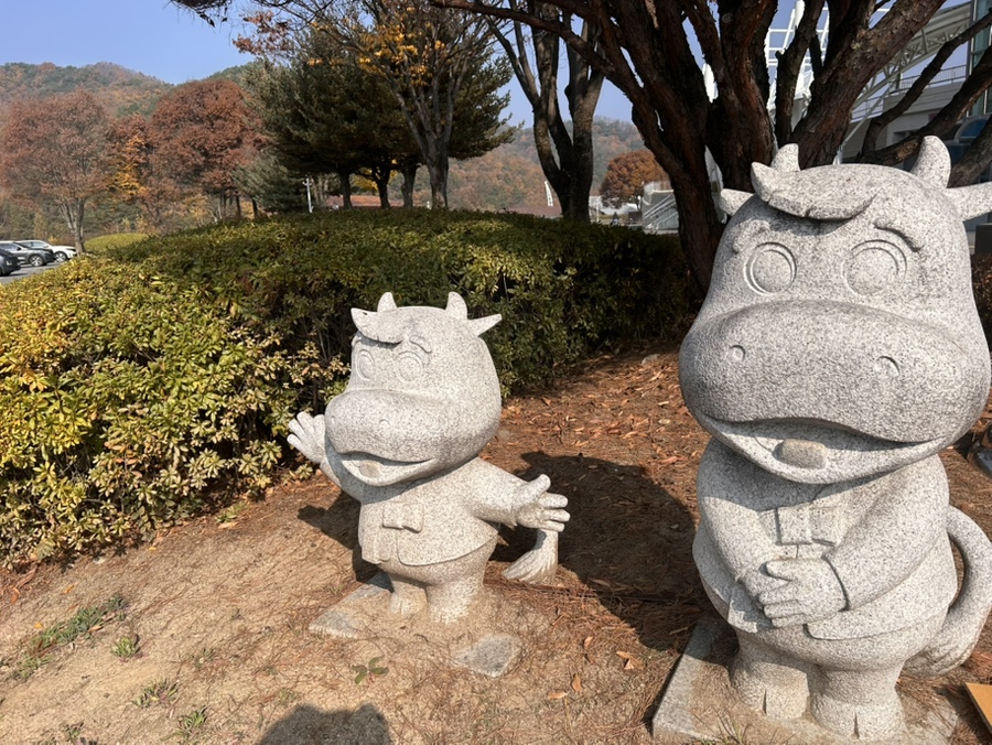 앞들한식부페 이미지