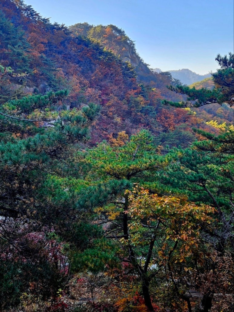 주식회사 미래 이미지