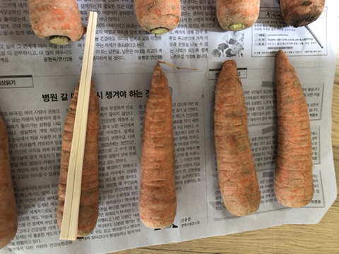 영암상회 이미지