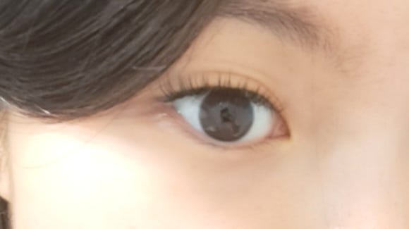 래쉬키미 이미지