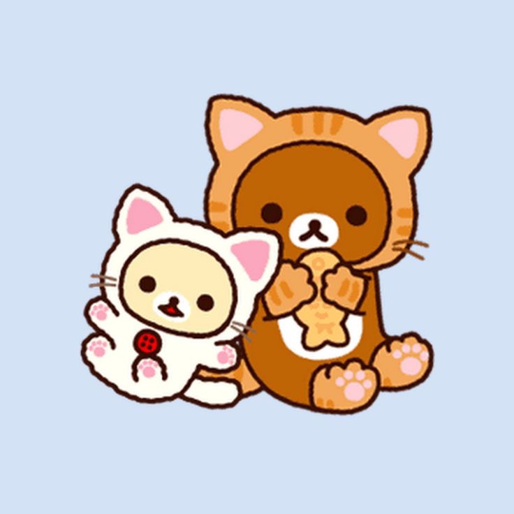 혜성분식 이미지