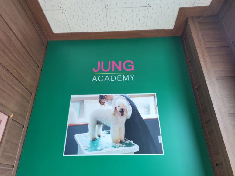 포항애견미용학원 이미지