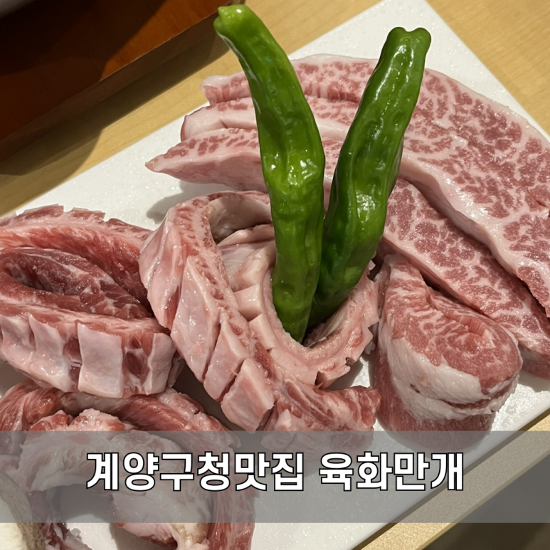 육화만개 이미지