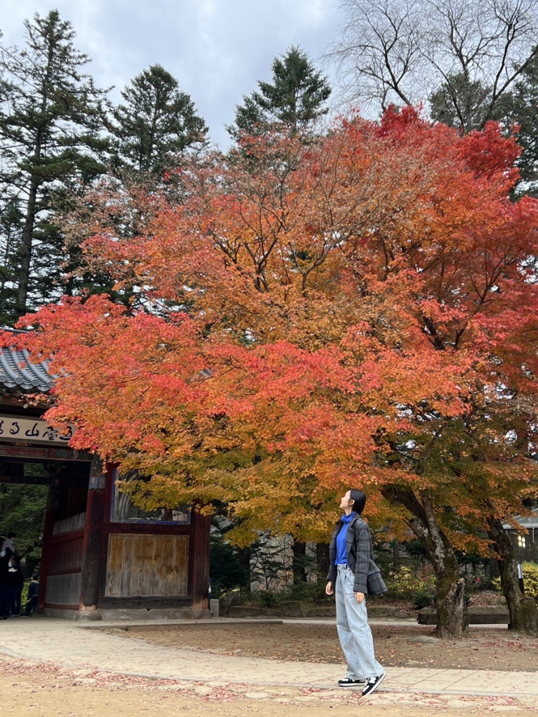 오대산신선희황기찐빵 이미지