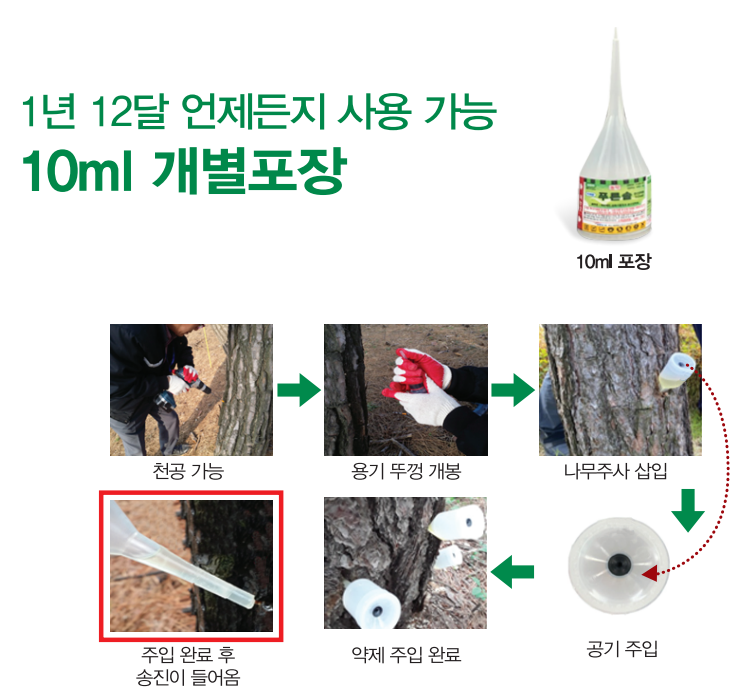 푸른솔디자인 이미지