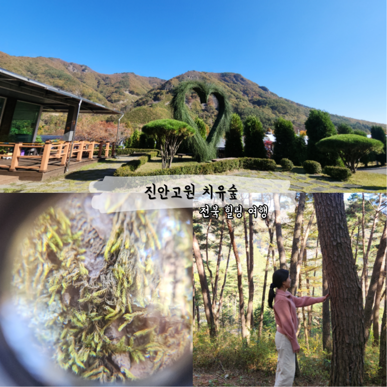 전북권환경성질환치유센터진안고원치유숲 이미지