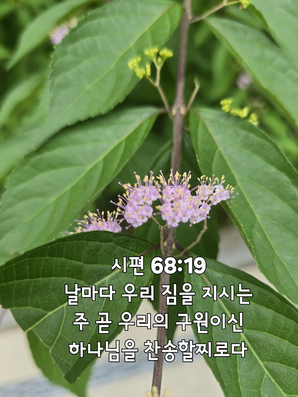오늘의짐 이미지