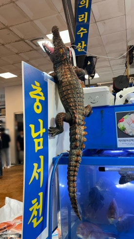 의리수산 이미지