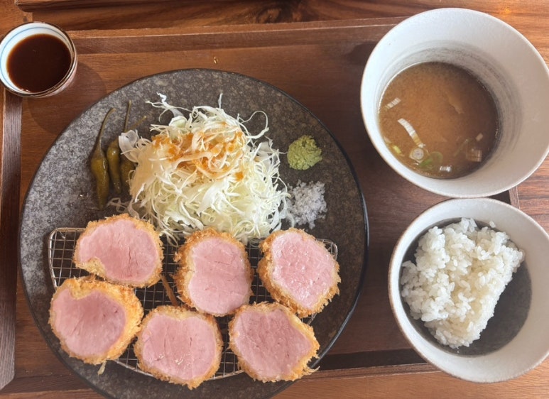 카츠닉 이미지