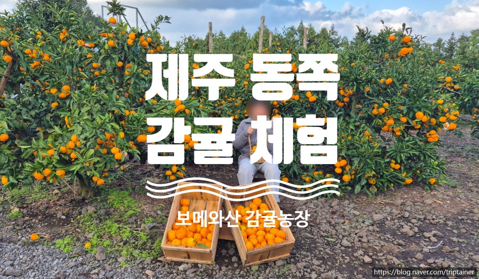 보메와산 이미지