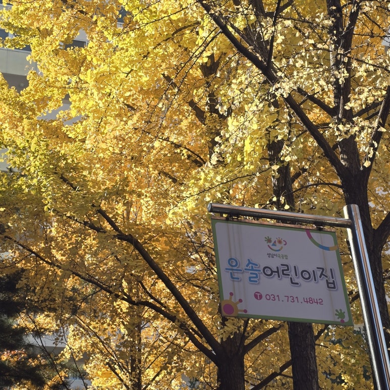 은솔어린이집 이미지