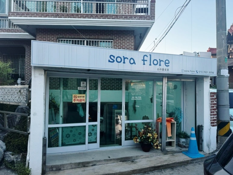 무브플랑 이미지