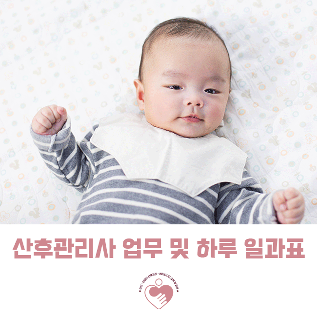 가이맘헬퍼114 이미지