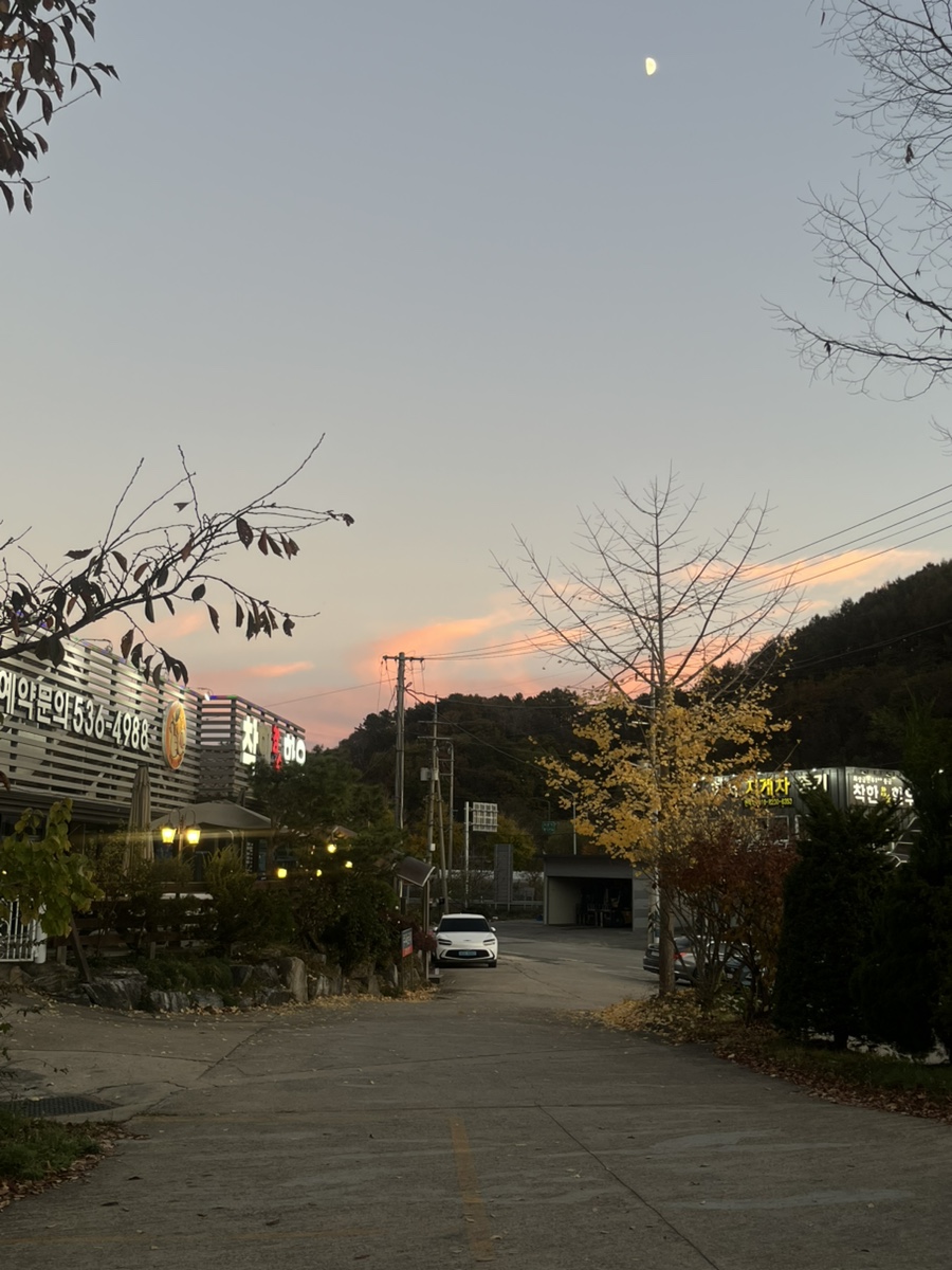 오소케이크 이미지