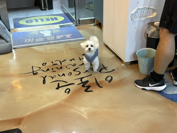 머슬랭PT 이미지