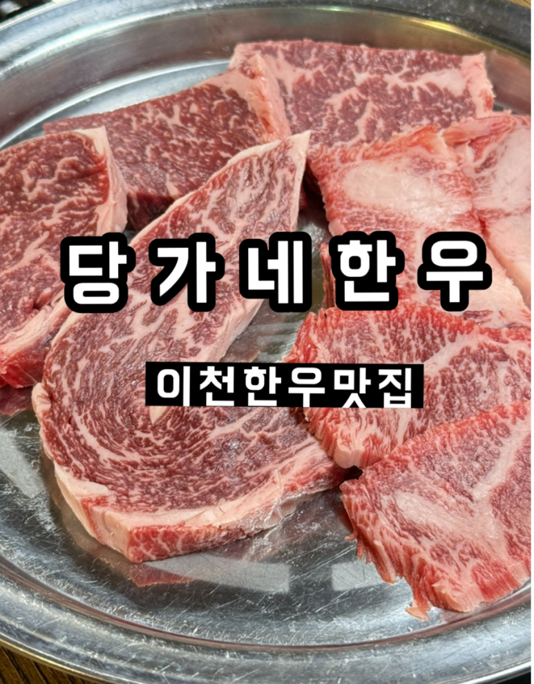당가네 이미지