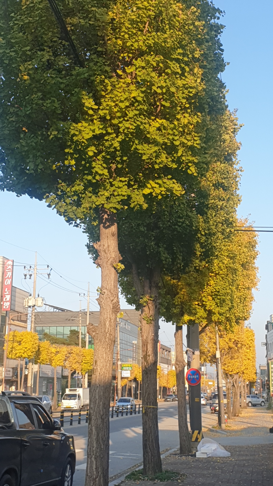 홍주축산 이미지