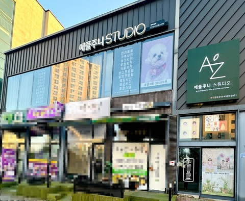 애플주니스튜디오 이미지