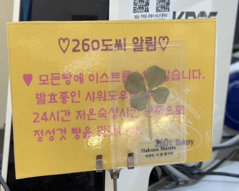 260도씨 이미지