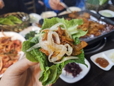 다은황칠오리 이미지