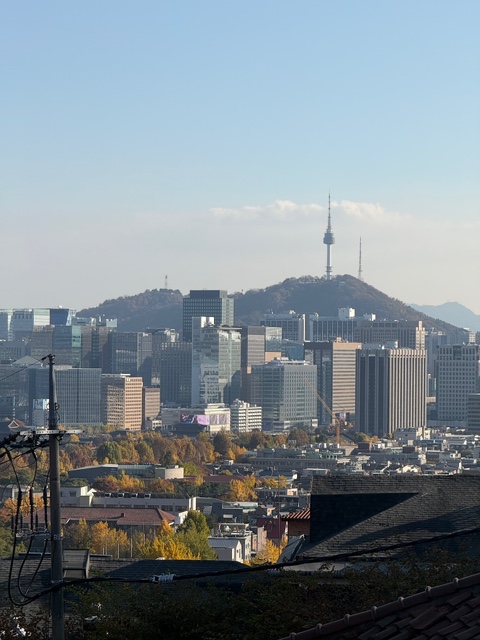 오르보 이미지