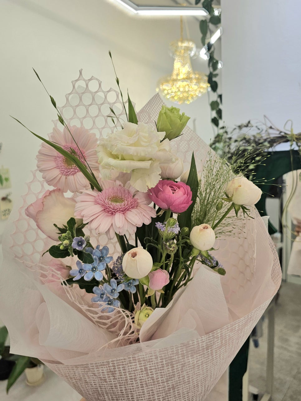 라메르블룸 이미지
