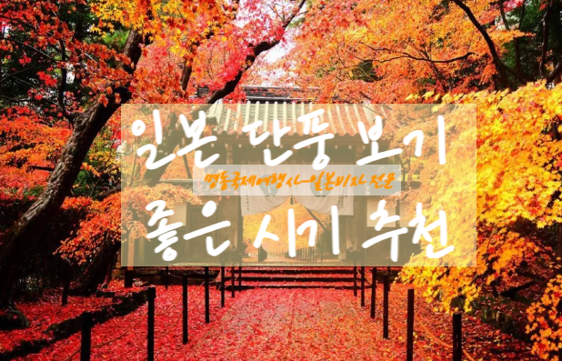재한여행사 이미지