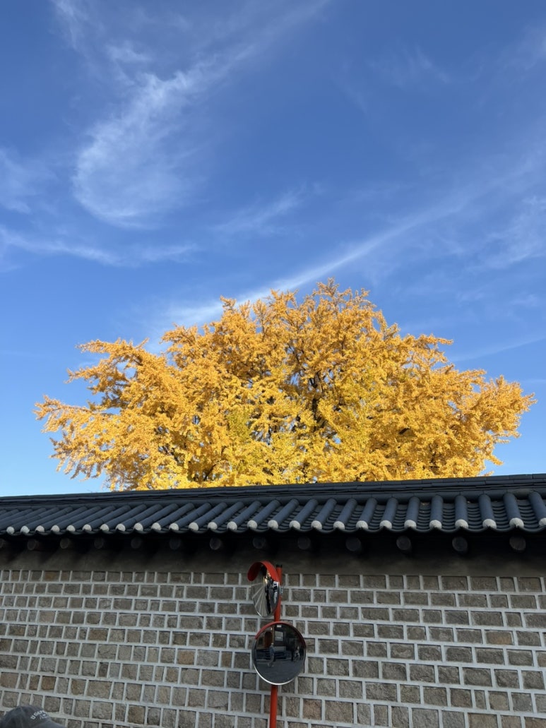 카페르꽁뜨 이미지