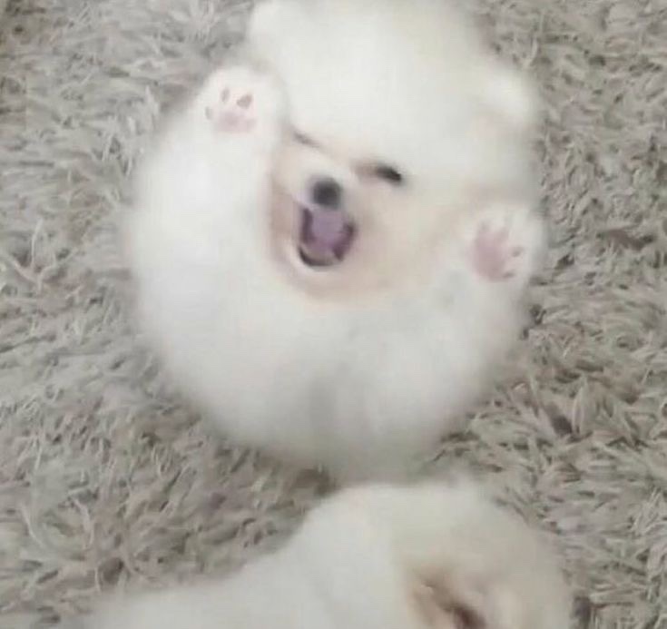 씨즈더데이 이미지
