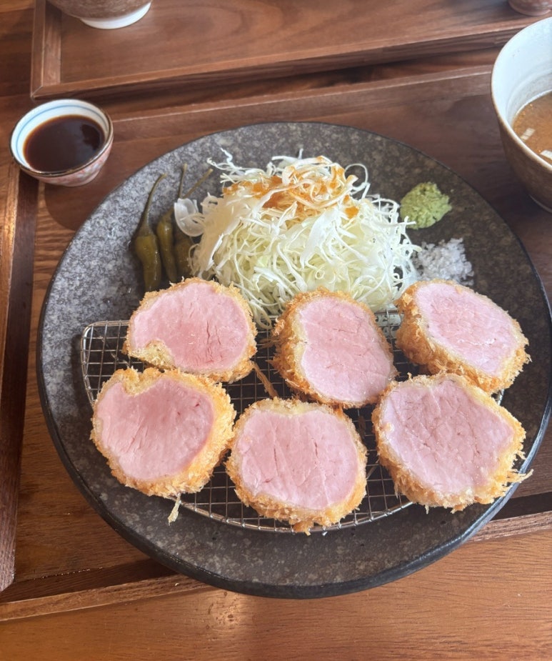 카츠닉 이미지