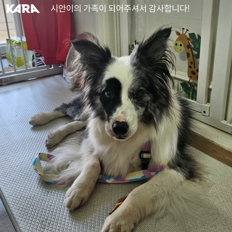 리태 이미지