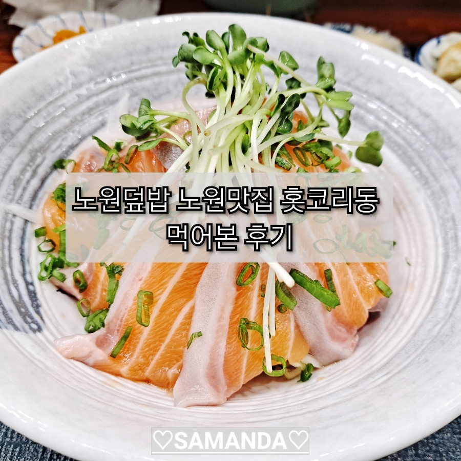 홋코리동 이미지