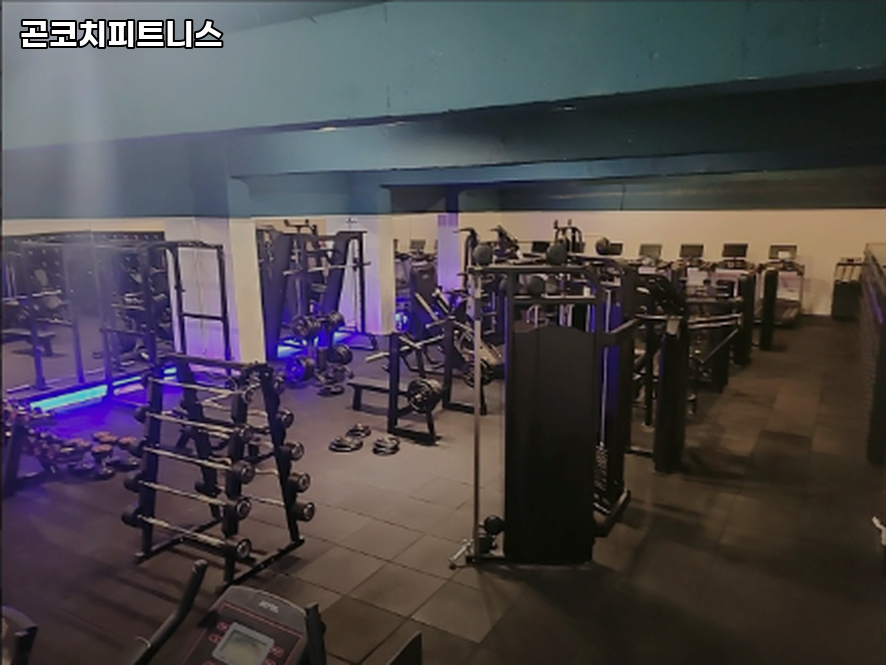 곤코치피트니스 이미지