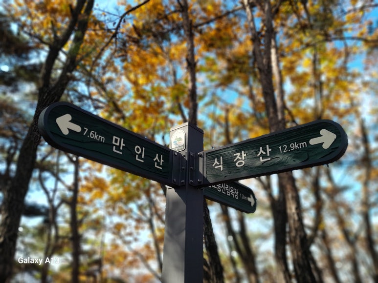 마달(대전) 이미지