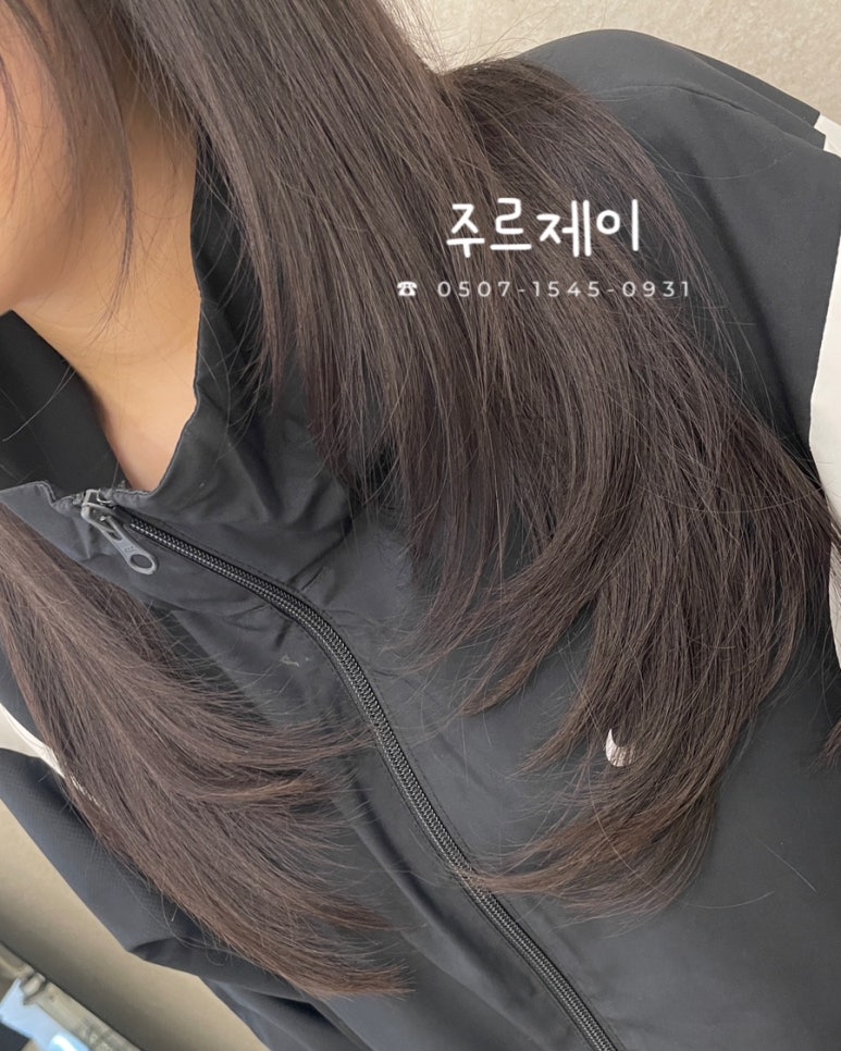 주르제이 이미지
