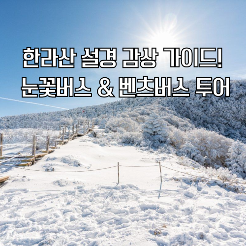 한라여행사 이미지