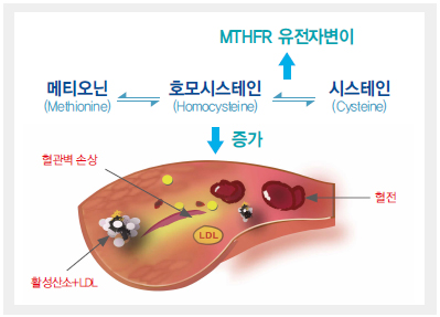 삼오개발 이미지
