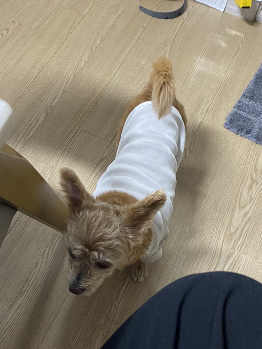 경아화장품 이미지
