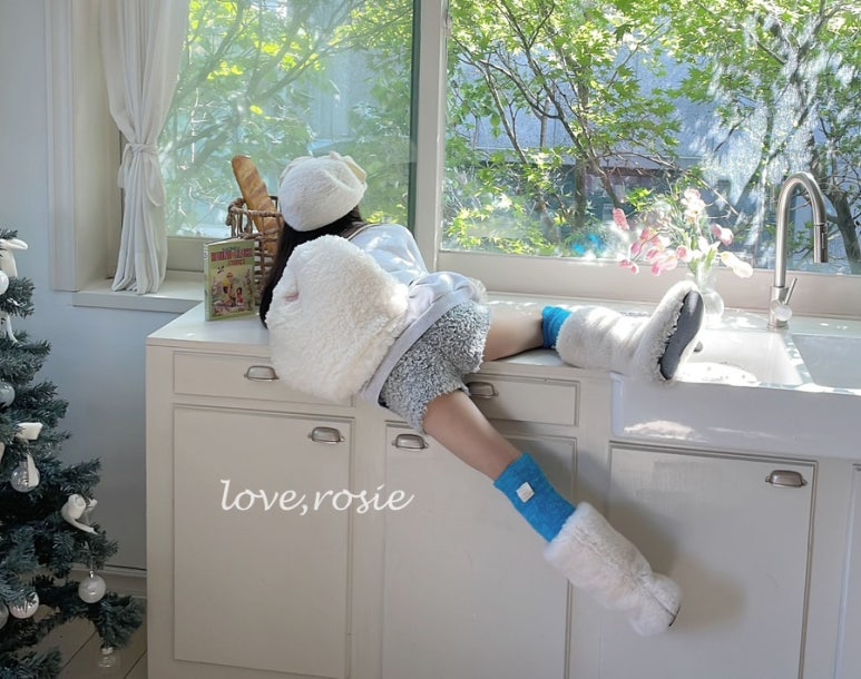 보드리 이미지