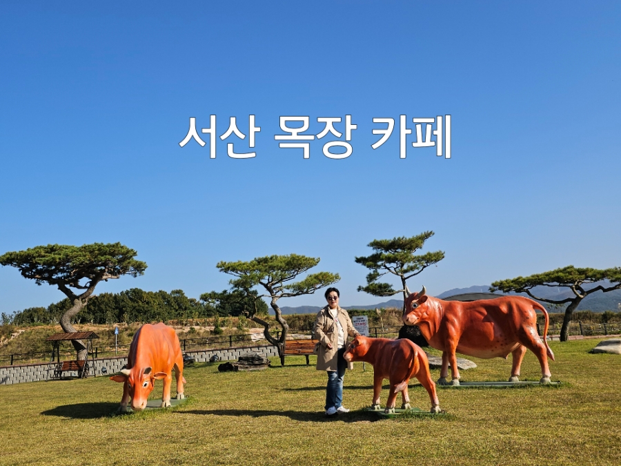 초원베이커리 이미지