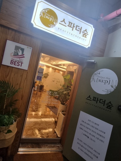 스파더숲 이미지