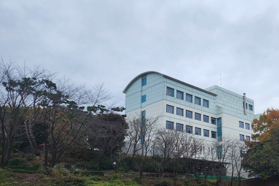 빽곰댄스 이미지