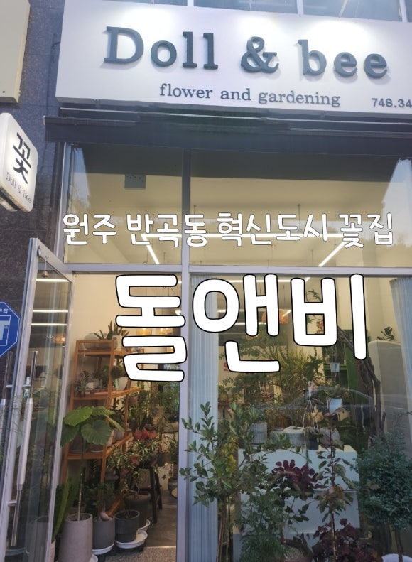 돌앤비 이미지