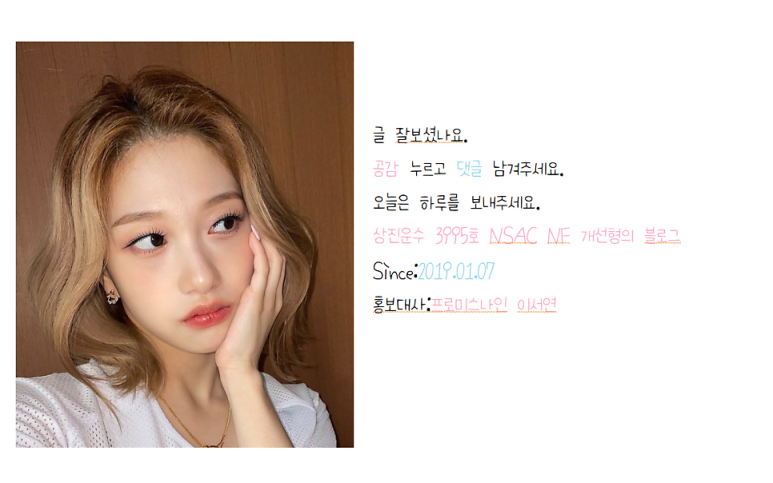네오플란 이미지